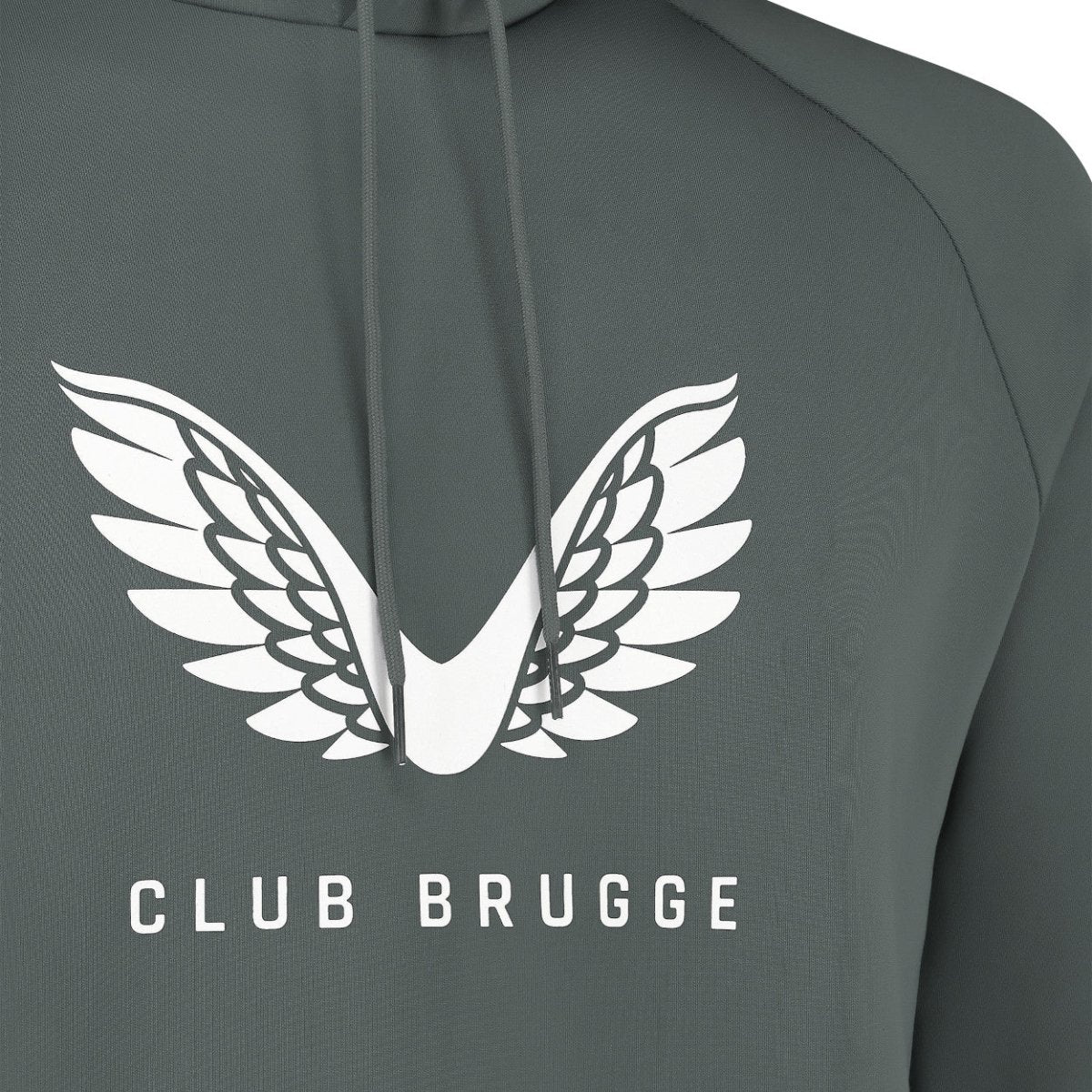 Lock Up Logo Hoodie Grijs 24/25 - Club Brugge Shop