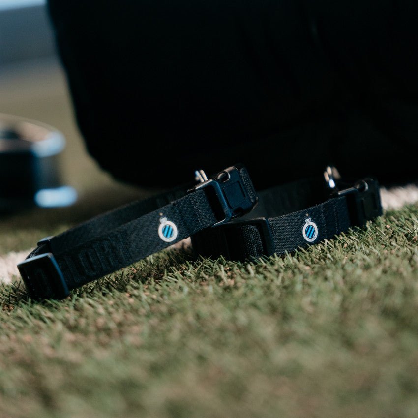 Hondenhalsband met riem - Club Brugge Shop