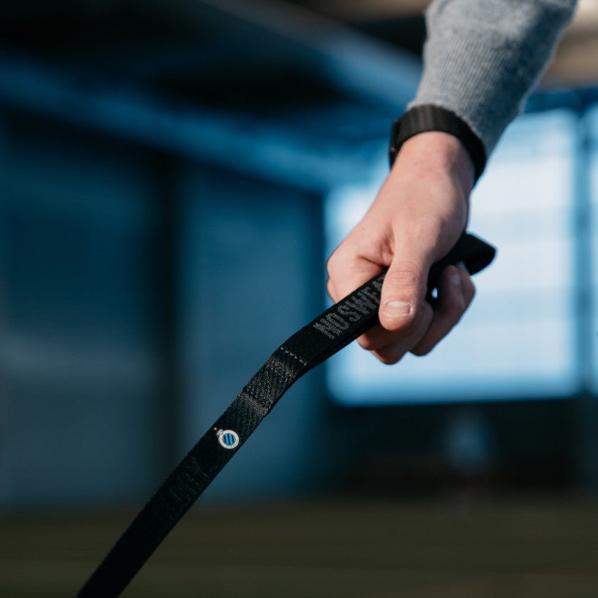 Hondenhalsband met riem - Club Brugge Shop