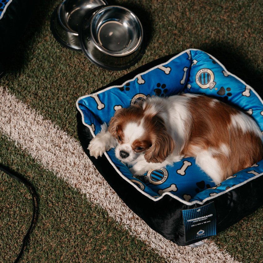 Huisdierkussen (45 x 40 x 19cm) - Club Brugge Shop