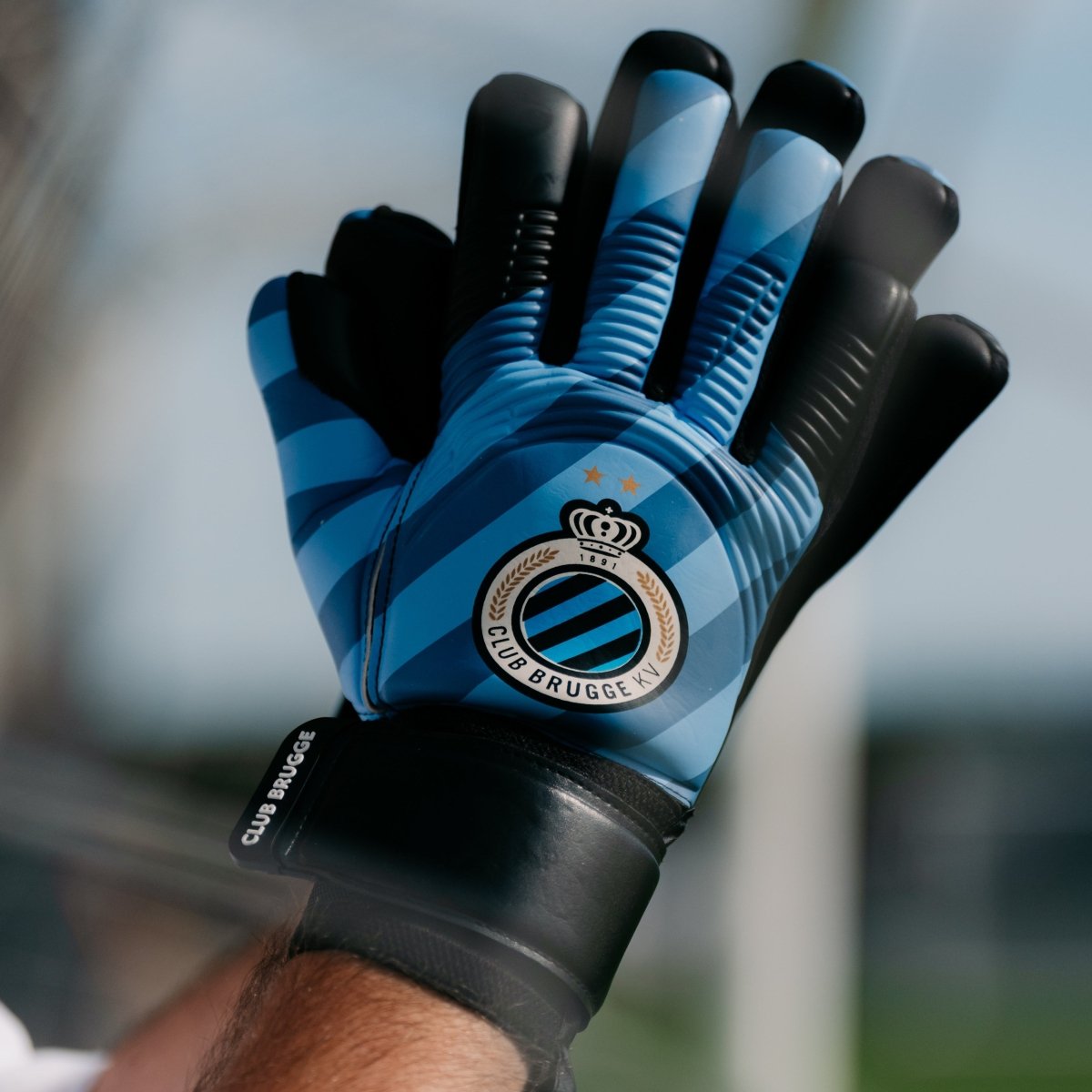 Keeperhandschoen Legend Blauw-Zwart - Club Brugge Shop
