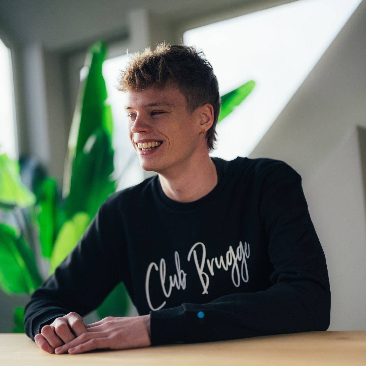 Sweater Club Brugge - Club Brugge Shop